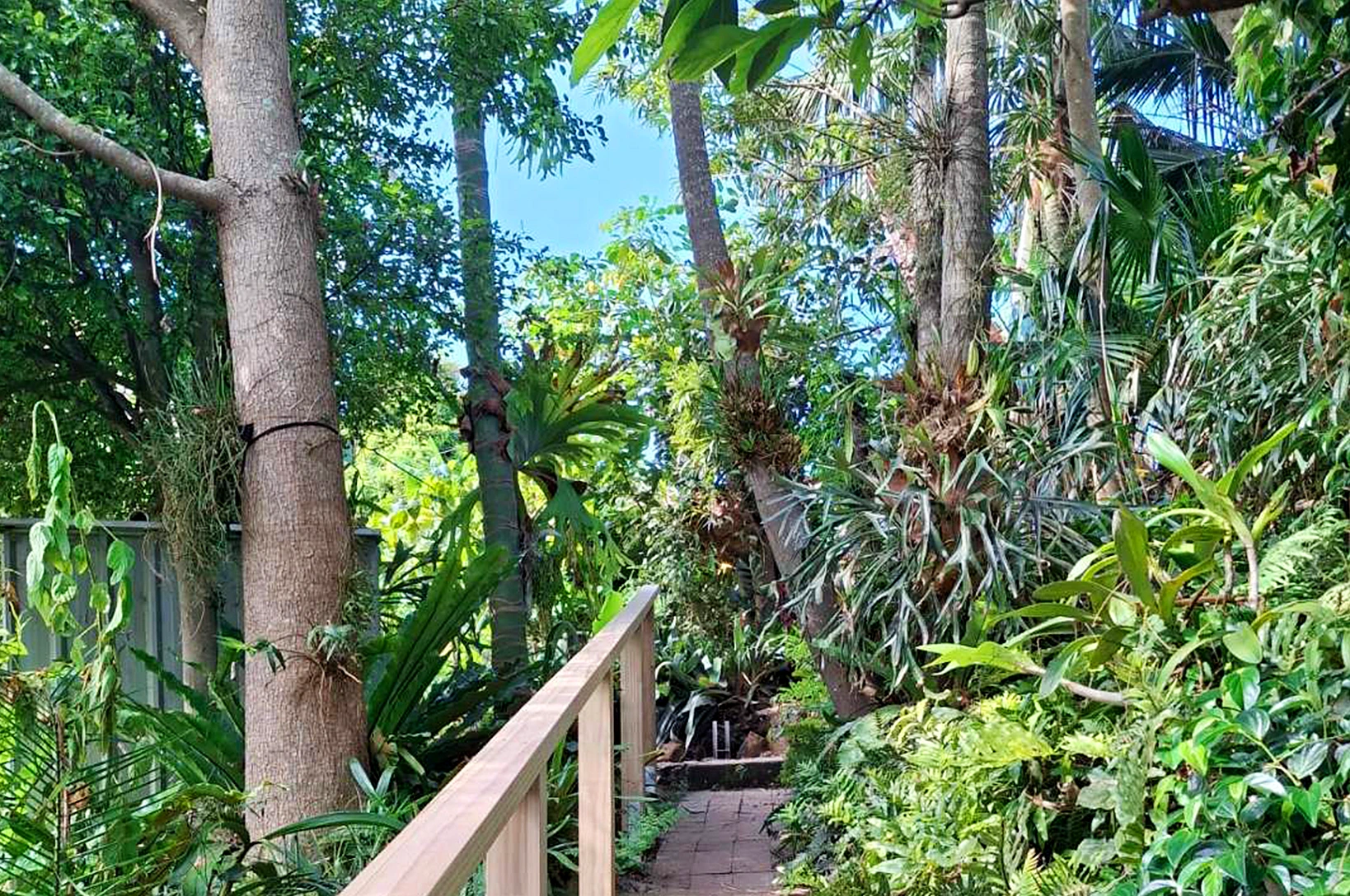Kiama Consultancy Services – Carls Rainforest Experiences