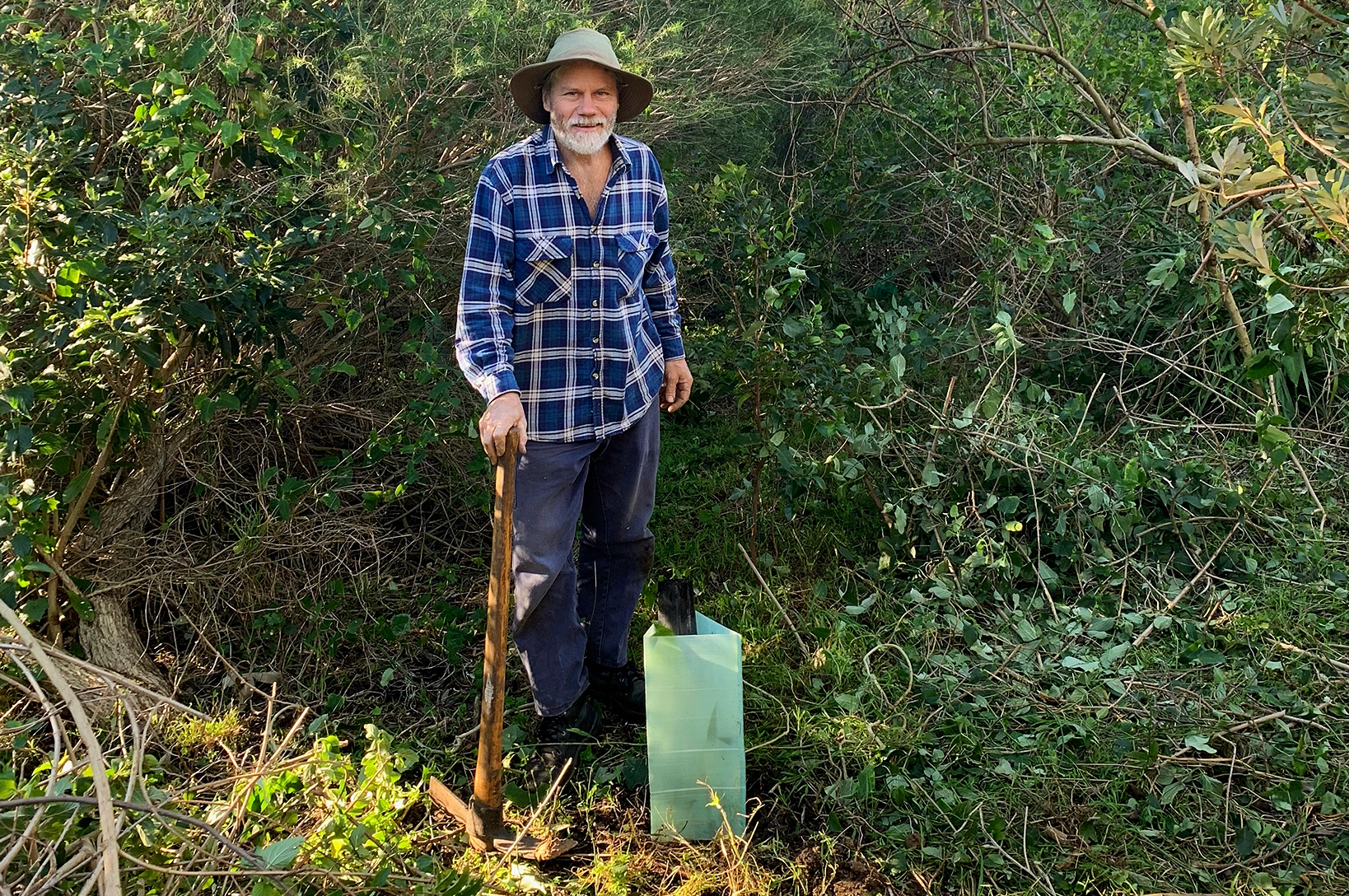 Kiama based Bush Regeneration services – Carls Rainforest Experiences